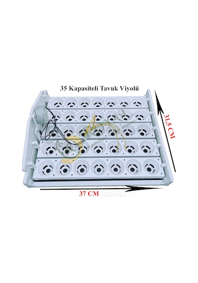 35'lik Otomatik Kuluçka Gelişim Viyolü 1/2.5 Rpm 4 Watt