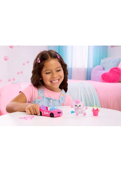 Barbie Dream Squad Renk Aksesuarlı Yavru Köp Jmw94 Seri 1