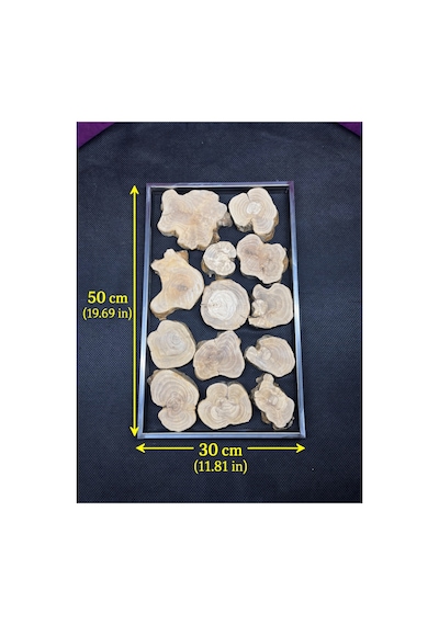 Zeytin Ağacı Parçalı Metal Çerçeve 30x50 Cm Epoksi Reçine İçin Doğal Ahşap Dilim Seti
