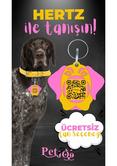 Petjoo 26.Hertz Pembe-Sarı Qr'lı Köpek Künyesi