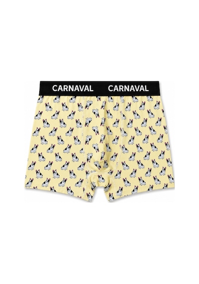 Carnaval Socks Carnaval Food Mood Erkek Boxer 3'lü Set Çoklu