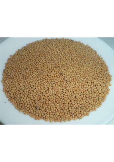 Hardal Tohumu Sarı 1 KG