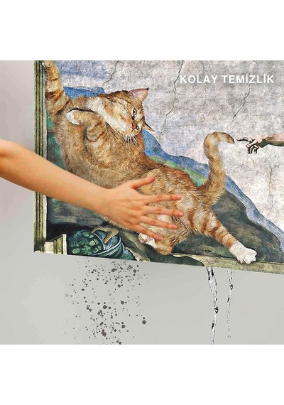 Monnhein Kedi Köpek Komik Tasarımlı Dekoratif Kapı Önü Paspas, Dış Mekan/ev İçi/banyo/mutfak/yatak Odası/giri Genel