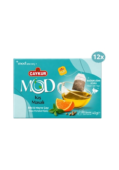 Çaykur Kış Masalı Süzen Poşet Çay 40 G X 12 Adet