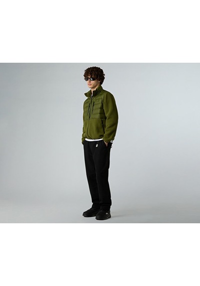 The North Face M Rmst Denali Tek Hybrid Jacket Unisex Outdoor Sweatshirts Nf0a8d0ubrı1 Yeşil Yeşil
