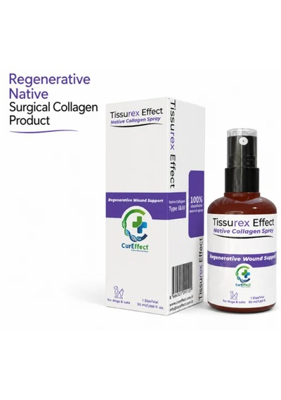 Cureeffect Tissurex Effect Native Collagen Spray Doğal Tip 1 Kolajen Sprey Yara Ve Cilt Bakım Örtüsü