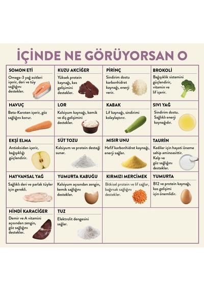 Kito Fresh Kediler İçin %100 Taze İçerikli Mama Tanışma Paketi