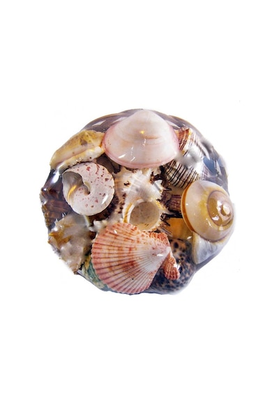 Tahtakaletoptanci Fruit Of The Sea 20 Cm