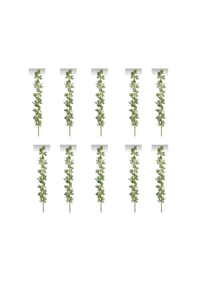 Rüzgar Yapay Çiçekçilik 220 Cm 10 Adet Bambu Yeşil