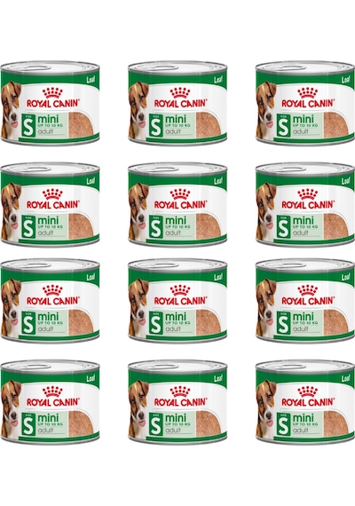 Royal Canin Mini Adult Yetişkin Köpek Konservesi 12 x 195 G