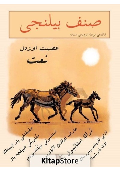 Sınıf Bilinci 2.Merhale 4.Nüsha- Tiyo Yayınları