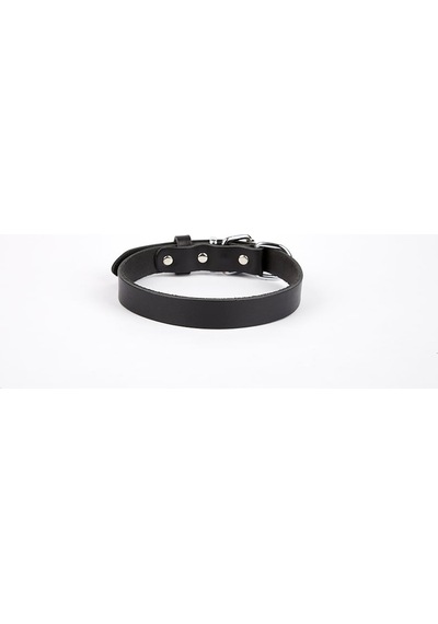 Deri El Yapımı Köpek Boyun Tasması 1,5x20-26 Cm Siyah Çok Renkli