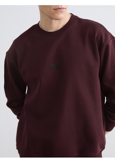 Lcw Vision Bordo Bisiklet Yaka Baskılı Erkek Kalın Sweatshirt