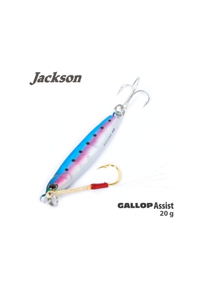 Jackson Gallop Assist 20Gr Jig Yem