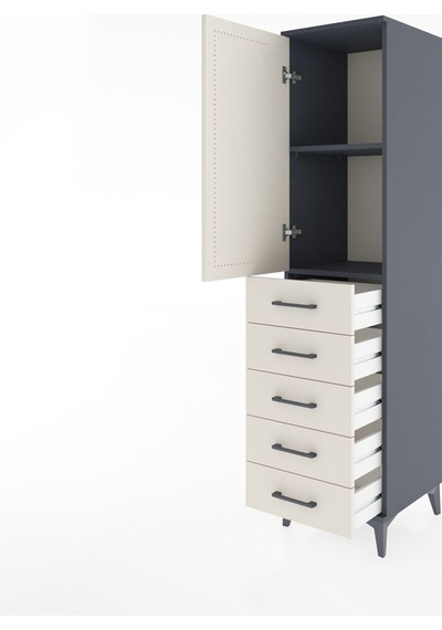 Hyperion Dolap 2 Raflı 5 Çekmeceli Tek Kapaklı 44x44x182 Antr... Antrasit