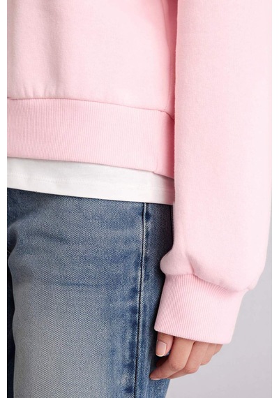Defacto Relax Fıt Basıc Düz Kalın Sweatshirt Kumaşı Sweatshirt H2149ax25wnpn38 Pembe-pn38