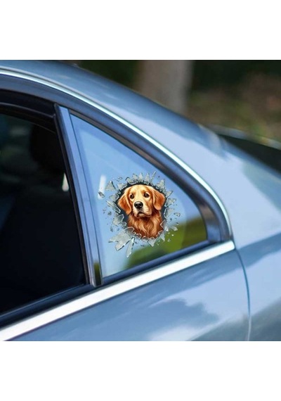 Fulcar Golden Araç Stickerı Standart