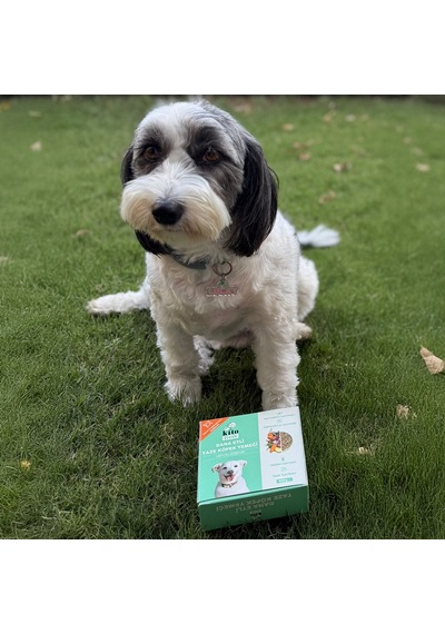 Kito Kuzu Etli Mini Irk Yetişkin Köpek Maması 2500 G + Kito Fresh Dana Etli Köpek Yemeği 6'lı