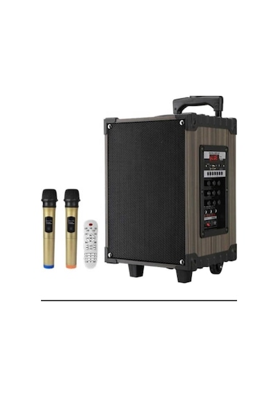 2 Adet Kablosuz Mikrofonlu Bluetooth Hoparlör Led Işıklı Fm Radyo Sd Kart Usb Girişli Speaker