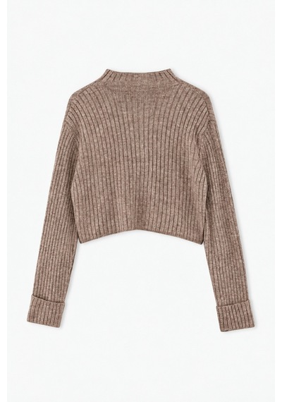 Maison Velora Kadın Bej Basic Crop Yumuşak Dokulu Dik Yaka Triko Hırka-27aj001 Bej 923043141 Bej Maison Velora Kadın Bej Basic Crop Yumuşak Dokulu Dik Yaka Triko Hırka-27aj001 Bej 923043141 Bej