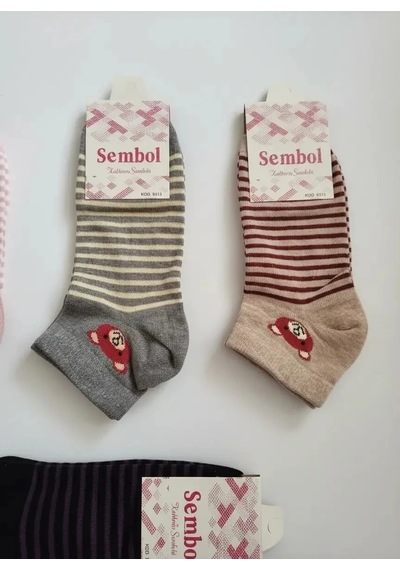 Efemicgiyimstore Tedy Çizgili Desenli Bayan Patik Çorap 12'li Paket Çok Renkli