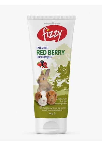 Fizzy Kemirgen Red Berry Paste 100gr