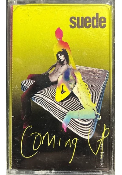 Plak Değildir Kaset Tir Kaset Suede Coming Up Kaset