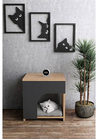 Ahşap Kedi Evi Kapalı Kedi Yatağı Yuvası Dekoratif Modern Komodin Yan Sehpa Tasarımlı Kedi Evi