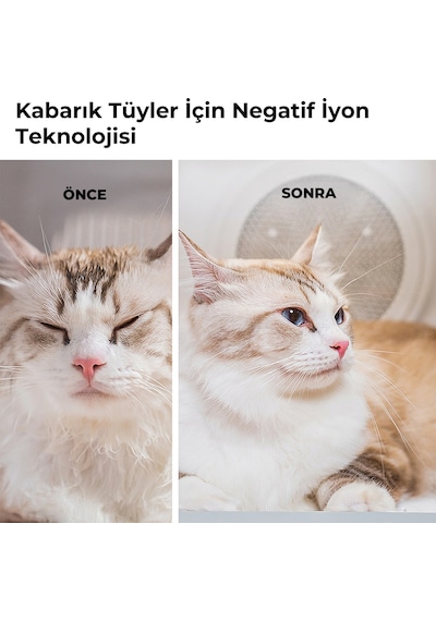 Petkit Akıllı Evcil Hayvan Kurutma Makinesi (Resmi Distribütör Garantili)