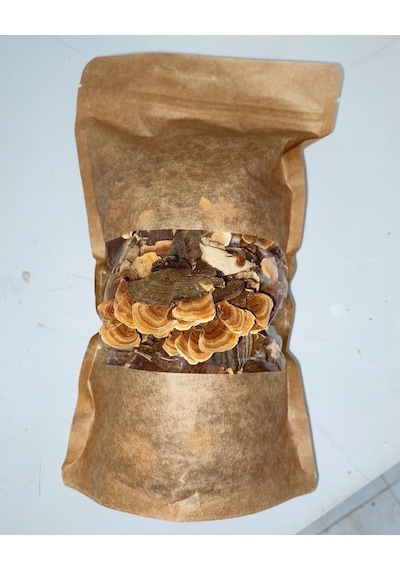 Şifa Hindikuyruğu Coriolus Versicolor 80 G