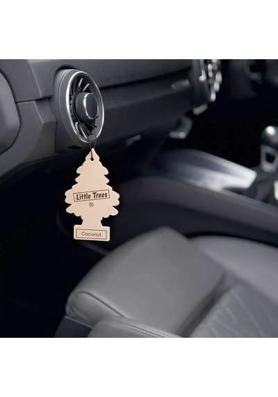 Car Freshner Asma Koku 12'li Hindistan Cevizi