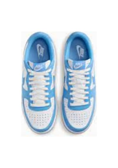Nike Terminatör Low-fq8748-412 Mavi