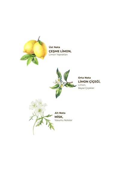 Mey İthalat Kolonya Pet Şişe Sprey 150 Ml Çeşme Limonu