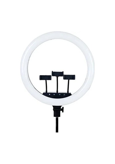 Nettech Rl-21 Ringlight 21 İnç Led Işık Siyah