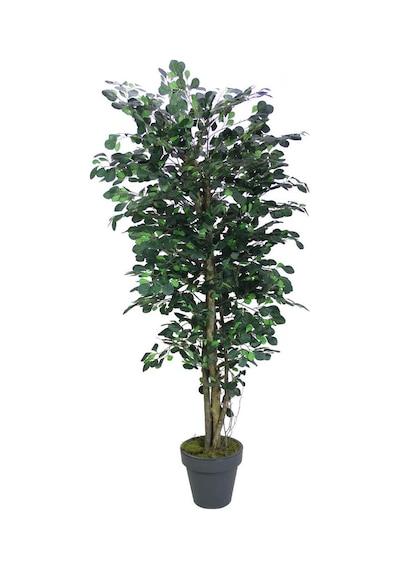 Yapay Paçira Ağacı 170 cm