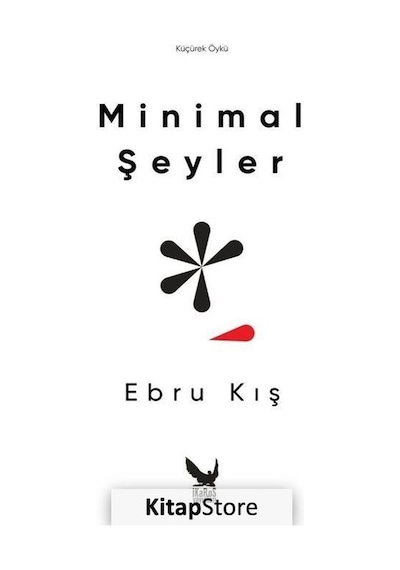 Minimal Şeyler - Ebru Kış - İkaros Yayınları