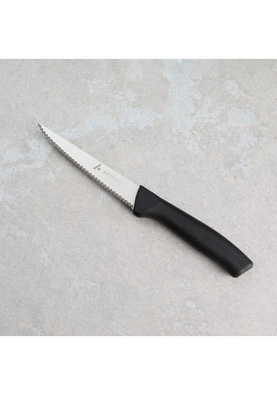 Aryıldız Rexa Tırtıklı Sebze Bıçak Siyah 10 Cm Renkli