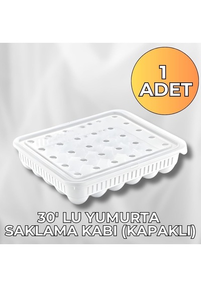 Yumurta Saklama Kabı 30'lu 1 Adet, Steril Yumurtalık, Kapaklı Yumurta Organizeri Çok Renkli
