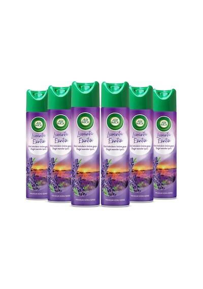 Aerosol Oda Kokusu Lavanta Esintisi 6x300 Ml