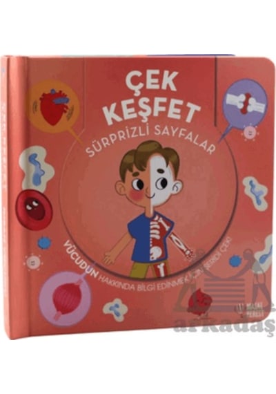 Çek Keşfet İnsan Vücudu Masalperest