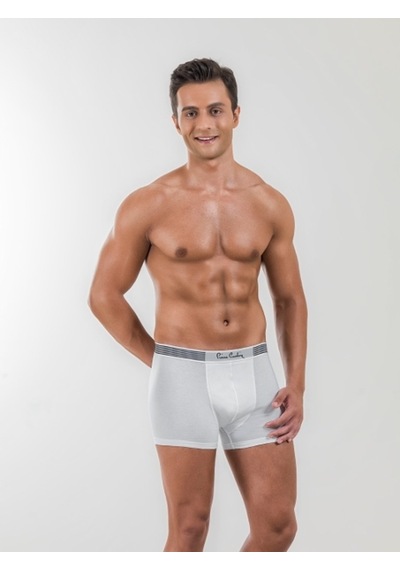 Pierre Cardin Erkek Boxer Modal 330