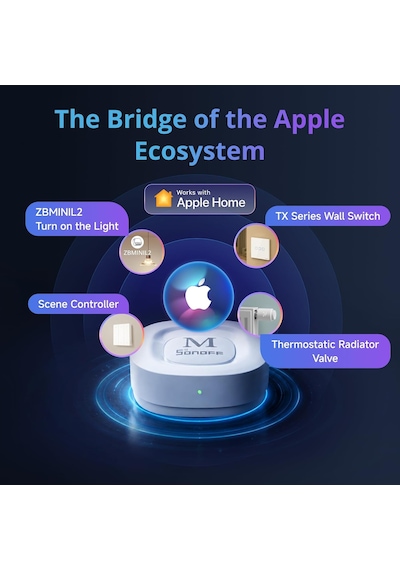 Zigbee Bridge Max Matter Destekli Bridge-m Genel