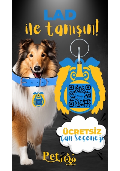 Petjoo 23.Lad Sarı-Mavi Qr'lı Köpek Künyesi