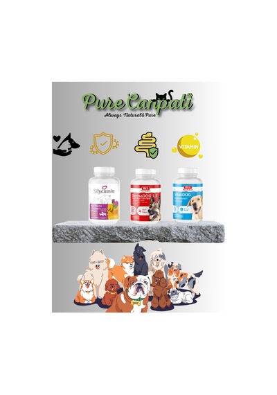 Purecanpati Köpek Vitamin Tüy Bakım Destek Seti Silycumin Dermado