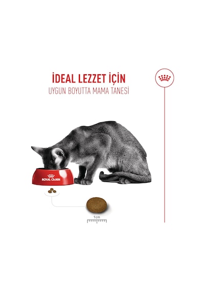 Royal Canin Exigent Savour Seçici Kediler İçin Yetişkin Kedi Maması 2 KG