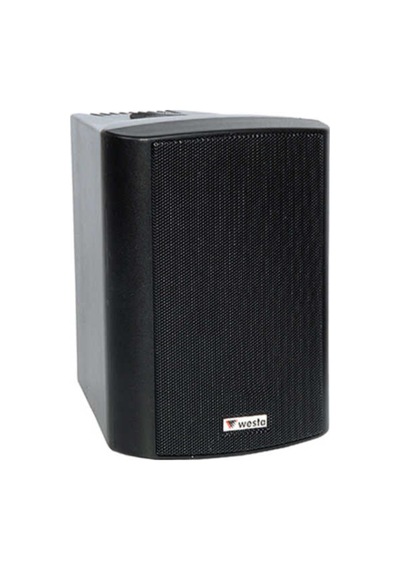 WESTA WS-4TB  10 cm 100 W HAT TR Plastik Kabin Hoparlör Siyah