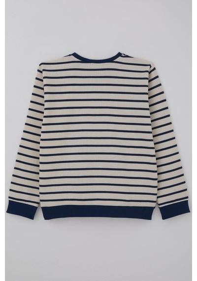 Breeze Erkek Çocuk Sweatshirt Arma Detaylı 4-10 Yaş, Ekru