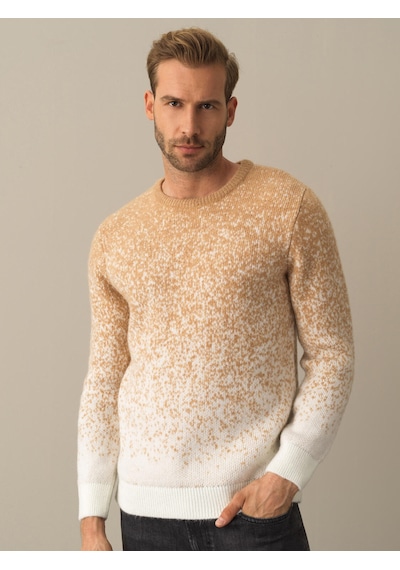 Xint Camel Regular Fit Bisiklet Yaka Kazak 801717