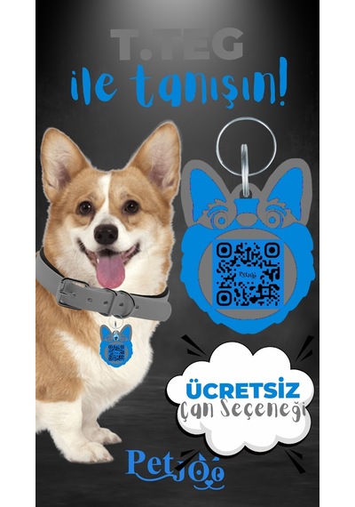 Petjoo 15.T.Teg Mavi-Gri Qr'lı Köpek Künyesi