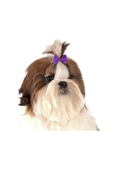 Show Tech Multicolor Renkli Lastikli Kedi Köpek Tokası 50 Adetli Paket